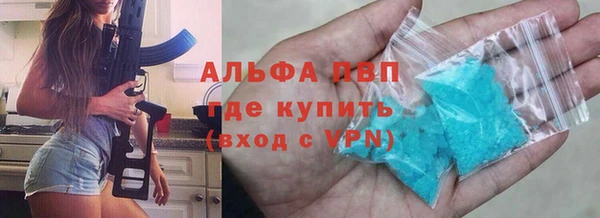 индика Абинск