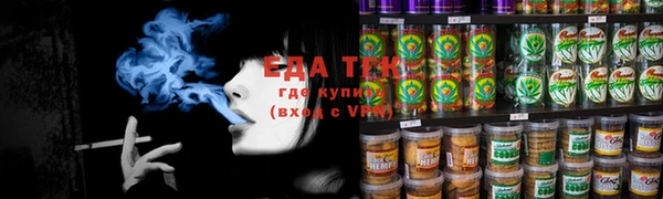 индика Абинск