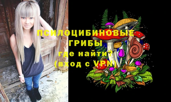 индика Абинск
