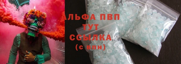индика Абинск