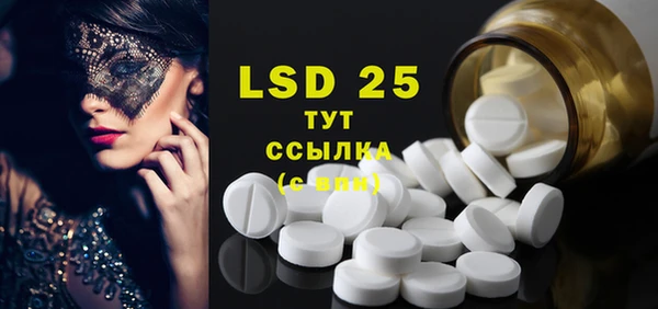 индика Абинск