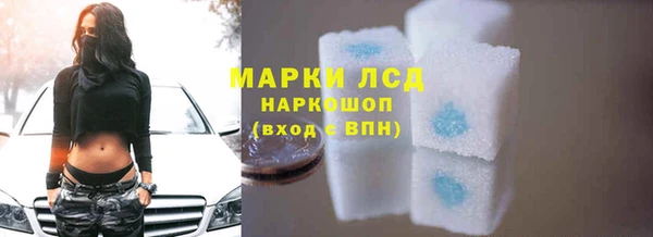индика Абинск