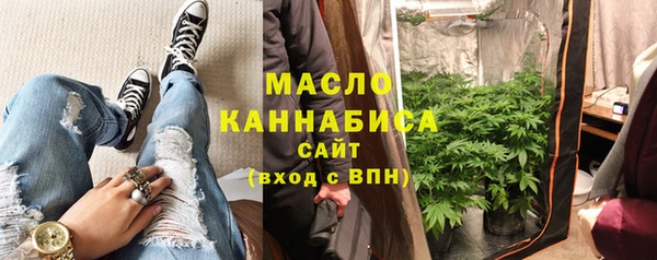 индика Абинск