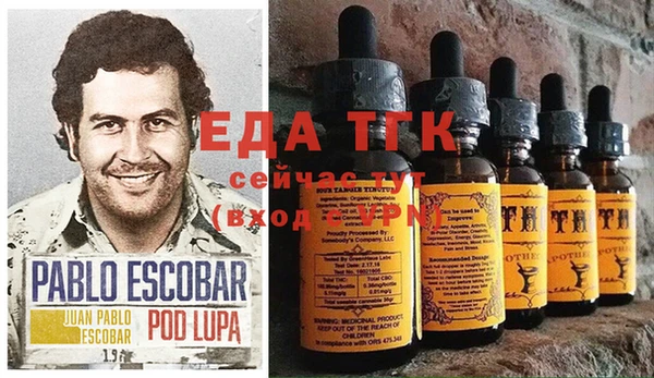 индика Абинск