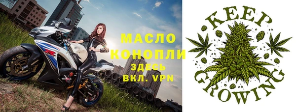 индика Абинск