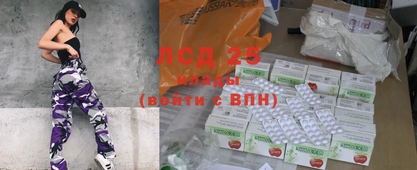 индика Абинск