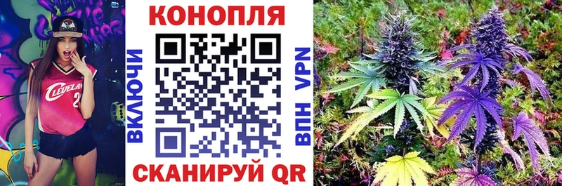 магазин продажи наркотиков  Карабаново  Канабис VHQ 